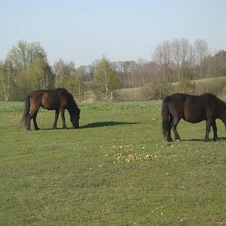 Willa Gospodarstwo Agroturystyczne Leśna Polanka Gietrzwałd Zewnętrze zdjęcie